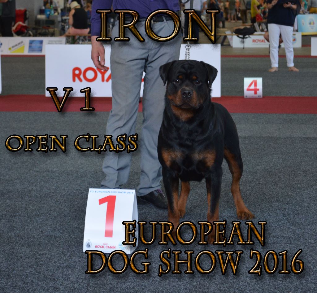 des Légions d' Elroy et Fiona - EUROPEAN DOG SHOW 2016
