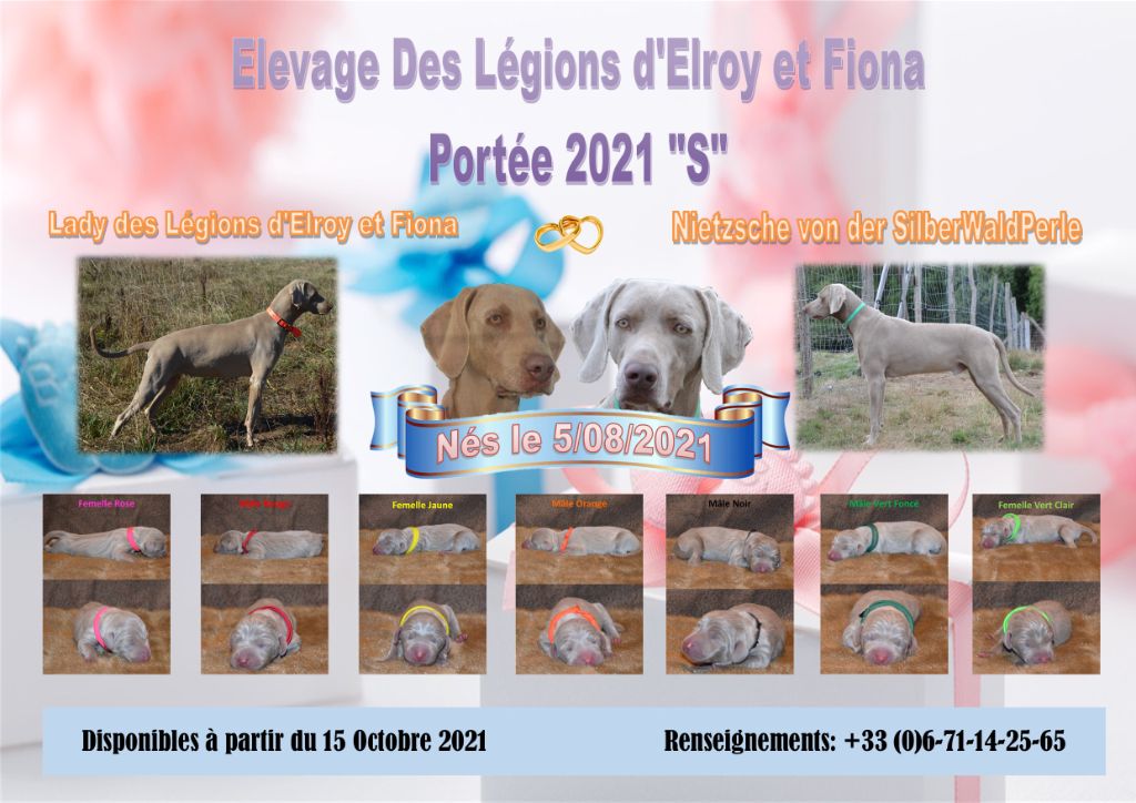 des Légions d' Elroy et Fiona - Portée 2021
