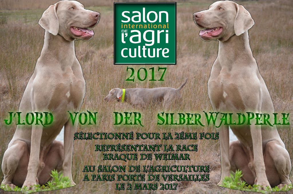 des Légions d' Elroy et Fiona - salon de l'agriculture 2017