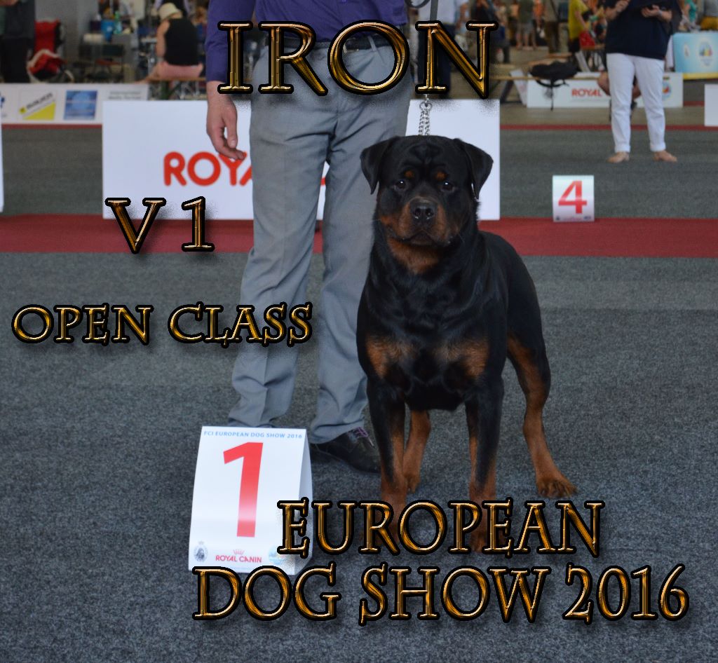 EUROPEAN DOG SHOW 2016